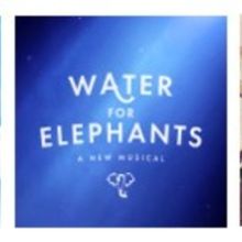 THE GREAT GATSBY, WATER FOR ELEPHANTS Announced for Broadway In Chicago 2026 Subscr