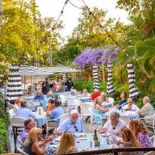 3rd Annual Culinary Fundraiser by TheatreZone is Now Live