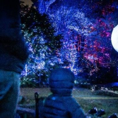 Photos: LIGHTSCAPE to Return to Brooklyn Botanic Garden