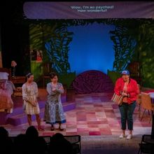 Teatro Público de Cleveland and Cleveland Public Theatre Partner On EL COQUÍ ESPECT