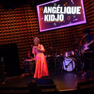 Joe's Pub Celebrates 25 Years At The Annual Gala And Raises Funds For Artist…
