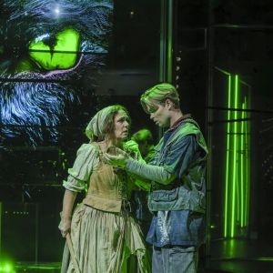 INTO THE WOODS Comes to Theater Basel
