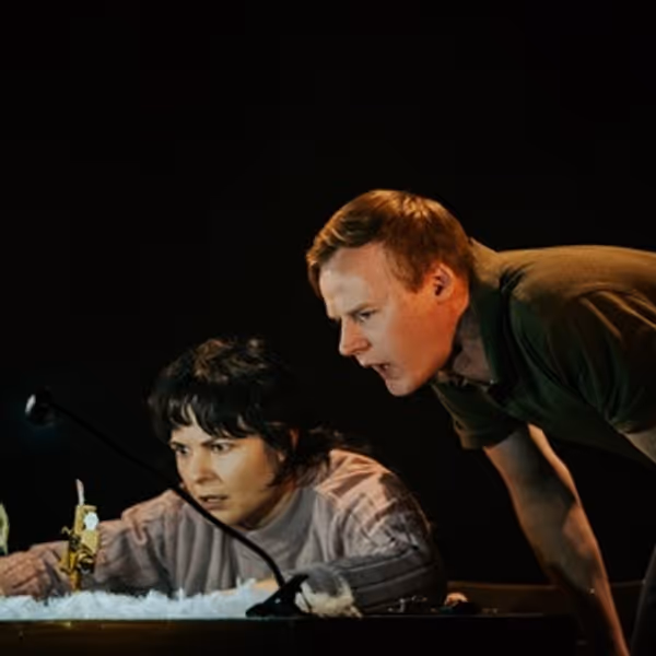 Toronto Premiere Of A VERY OLD MAN WITH ENORMOUS WINGS Set For This Month Photo