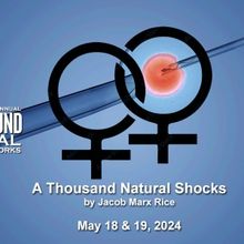 PlayGround Reveals Casting For 2024 Festival Premieres