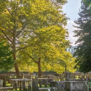 Sonic Sunsets: Live Jazz in the Heart of History at Christ Church Burial Ground