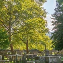 Sonic Sunsets: Live Jazz in the Heart of History at Christ Church Burial Ground