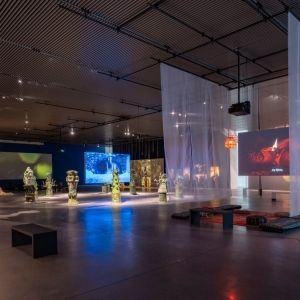 OPEN CALL: PORTALS Closes This Month