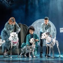 Photos: First Look At the UK Tour of 101 DALMATIANS THE MUSICAL