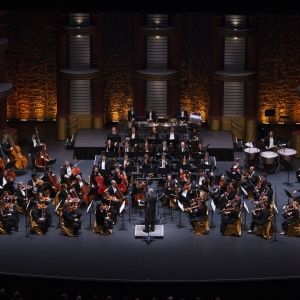 Palm Beach Symphony Ends Season with all Beethoven Program