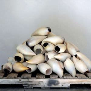 Courtney M. Leonard's First Retrospective Explores Shinnecock Culture At Hecksher…
