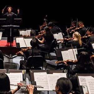 Wharton Arts Will Host Violins of Hope in A Concert for Peace at NJPAC