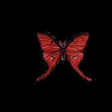 Portland Opera Closes Season With PUCCINI: IN CONCERT