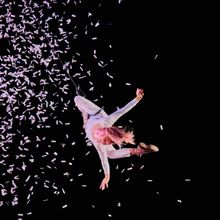 Warrington Arts Festival Reveals Full 2024 Programme