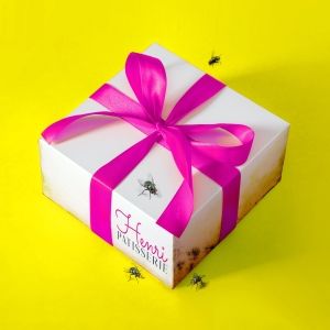 THE GIFT Comes to the Park Theatre in January 2025