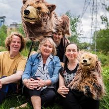 HERCULES THE BEAR Will Tour Scotland This Autumn