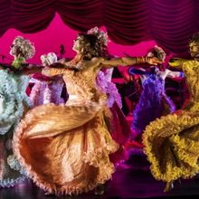 LA CAGE AUX FOLLES Comes to Melbourne in November