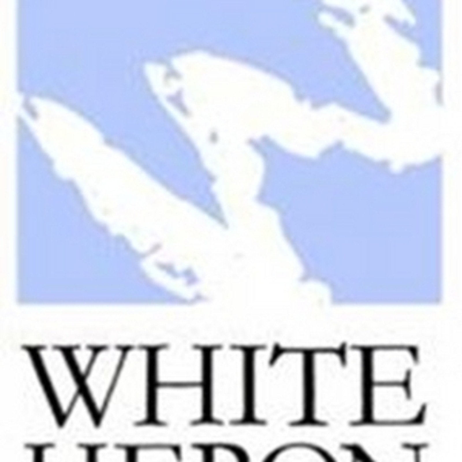 White Heron Theatre Company Opens BLITHE SPIRIT July 10