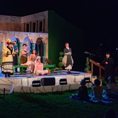 Photos: First Look at HAMLET and THE IMPORTANCE OF BEING EARNEST at Oak Park Festival