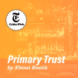 PRIMARY TRUST Begins Performances At Theatre Squared This Month