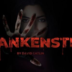 Anat Cogan, T.J. Wagner and More Will Lead Mary Shelley's FRANKENSTEIN at Center…