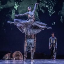 THE GOLD RHINO OF MAPUNGUBWE BALLET Comes to the Baxter Theatre in February