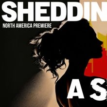 SHEDDING A SKIN Comes to Florida Studio Theatre