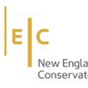 Rachel Z, Ethan Iverson, Carl Atkins, Jerry Bergonzi And NEC Jazz Orchestra Pay Tribu Interview