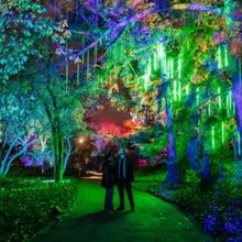 Photos: Brooklyn Botanic Garden's LIGHTSCAPE