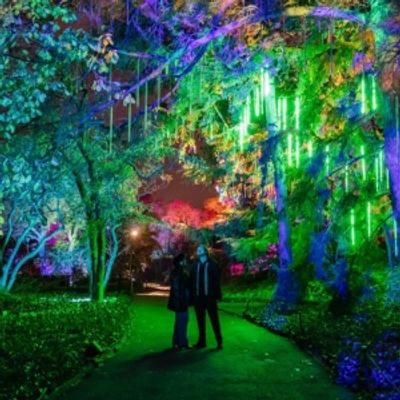 Photos: Brooklyn Botanic Garden's LIGHTSCAPE