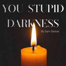 YOU STUPID DARKNESS Comes to 21ten Theatre