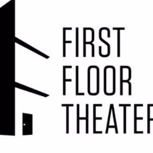 Chicago Premiere of WORK HARD HAVE FUN MAKE HISTORY Comes to First Floor Theater