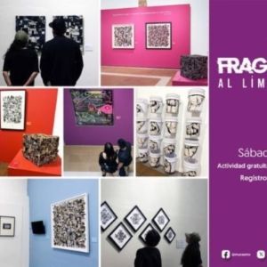 Últimos Días Para Ver Las Exposiciones De Carlos Soto Y Sebastian Fund En El Museo…