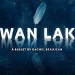 SWAN LAKE New Production Will Be Performed by Northern Ballet and Ballet de lOp&eacute;ra  Photo