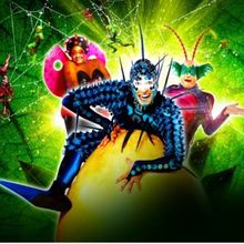 Cirque du Soleil's OVO Comes to Birmingham Next Week