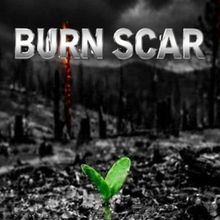 BURN SCAR Will Come to the 2026 Hollywood Fringe Festival