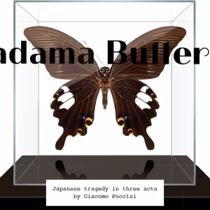MADAMA BUTTERFLY Comes to Det. KGL. Teater in 2024