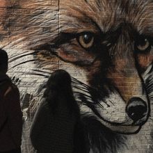 Die gerissene Füchsin Comes to Landestheater Linz