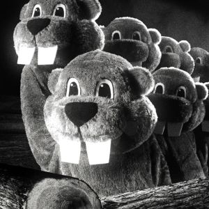 Indie Cult Hit HUNDREDS OF BEAVERS To Screen At Park Theatre