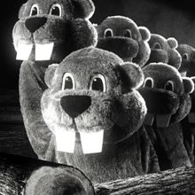 Indie Cult Hit HUNDREDS OF BEAVERS To Screen At Park Theatre