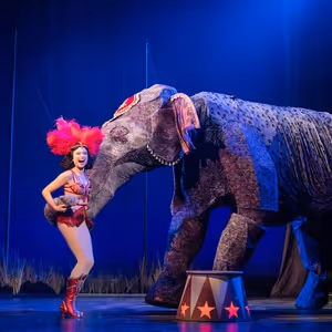 WATER FOR ELEPHANTS $30 Student and Educator Rush Tickets Available at Broadway…