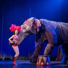 WATER FOR ELEPHANTS $30 Student and Educator Rush Tickets Available at Broadway Gran