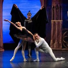 SWAN LAKE Comes to Teatro Tivoli BBVA