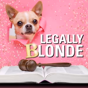 LEGALLY BLONDE Comes to the Citadel Theatre This Summer