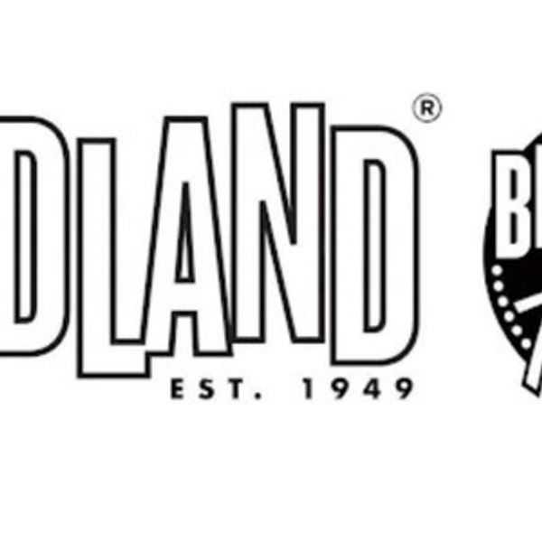 Nicole Henry, Mike Stern Band, John Pizzarelli & Gunhild Carling Lead Birdland Lineup Photo