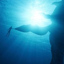 AVATAR: THE WAY OF WATER Returns to El Capitan Theatre in 3D This October