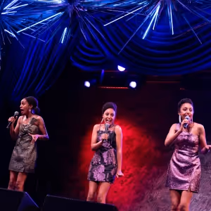 Photos: Inside DREW & DANE'S 32ND ANNUAL FESTIVITY Supporting Broadway Cares