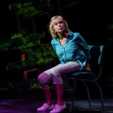 Interview: Actress Linda Purl on New Album & Starring in CRAZY MAMA at 59E59
