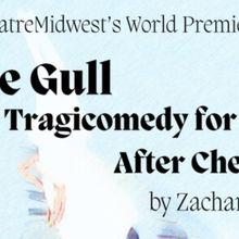 THE GULL Comes to Des Moines Playhouse