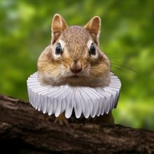 ROMEO & JULIET Comes to High Park This Summer