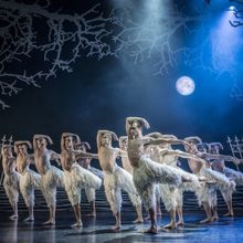 Matthew Bourne's SWAN LAKE Celebrates 30th Anniversary With a 2024-25 UK Tour